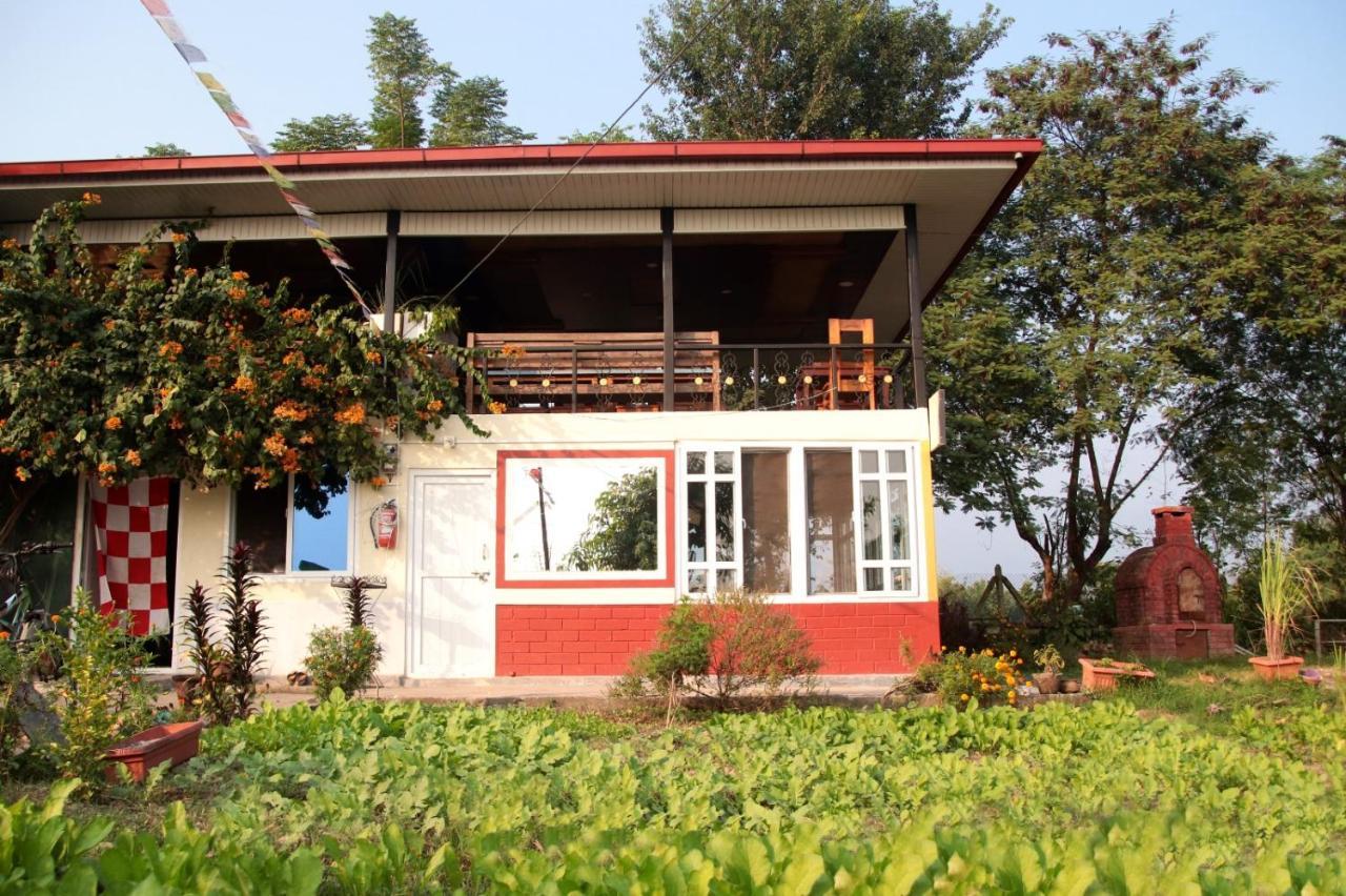 The Glasshouse Hotel Kawasoti المظهر الخارجي الصورة
